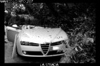 la strada (immagini forti, V.M. 18 anni) la strada (immagini forti, V.M. 18 anni)