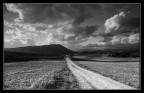 Una strada per andare... Una strada per andare...