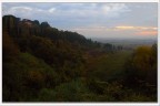alba