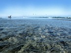 | Dagli occhi del Mare | 2 | | Dagli occhi del Mare | 2 |