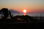 al tramonto al tramonto
