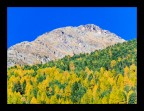 Colori Colori