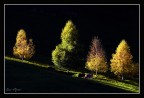 Monte Baldo...ho visto questo spot di luce a 200m  che si assottigliava sempre pi ; ho levato in fretta dallo zaino il 300mm ed ho scattato...mezzo minuto e tutto era buio.
Ivo