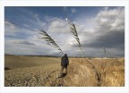 pensieri al vento pensieri al vento