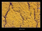 Urban Scars Urban Scars