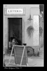La città del violino La città del violino