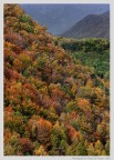 Autunno. Autunno.