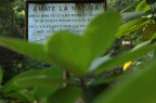 Amate la natura Amate la natura