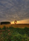 albero di luce albero di luce