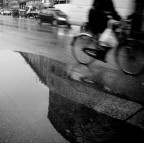 holga like holga like