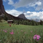 Primavera sulle dolomiti