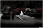 a lonley guy .... a lonley guy ....