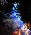 sul fiume d'autunno... sul fiume d'autunno...