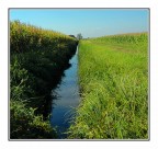 La via dell'acqua La via dell'acqua