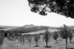 TERRA DEL SUD TERRA DEL SUD
