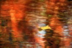 Autunno Autunno