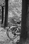 Autunno in bicicletta Autunno in bicicletta