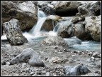 Saltellando Quà e là...... Saltellando Quà e là......