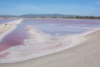 saline di cagliari