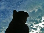 Nel Blu Nel Blu