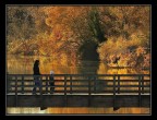 A walk to Paradise... A walk to Paradise...