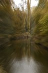 sono tornata al parco di monza...  incredibile come nell'arco di 5 giorni le cose siano cos cambiate.
il tempo non  stato pi clemente ma io ho voluto provarci lo stesso...

attendo i vostri commenti.
grazie!
dorotea