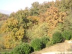 autunno autunno