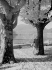 ...la solitudine... ...la solitudine...