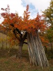 vestito d'Autunno vestito d'Autunno