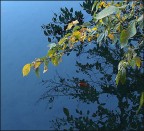 sometimes i feel ...