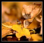 Life goes on... Life goes on...