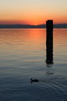 Tramonto a Sirmione Tramonto a Sirmione