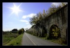 Condotti romani