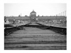 Auschwitz - Il binario della morte Auschwitz - Il binario della morte