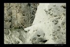 LUMIX FZ50 - 420mm