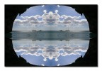 mirror mirror