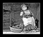 Nonna e gattino Nonna e gattino