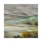 THE COLORS OF THE EARTH 1 (VAL D'ORCIA) THE COLORS OF THE EARTH 1 (VAL D'ORCIA)