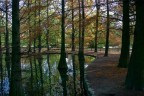 Il parco di Faenza = le bellezze della natura, le ore sono volate. Scatti del 7 Novembre.
