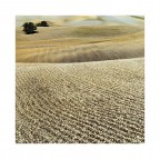 THE COLORS OF THE EARTH (4) VAL D'ORCIA) THE COLORS OF THE EARTH (4) VAL D'ORCIA)