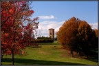 parco autunnale parco autunnale