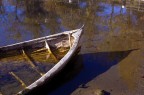 Nell'acqua Nell'acqua