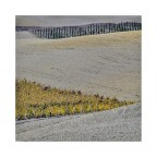 THE COLOURS OF THE EARTH 8 THE COLOURS OF THE EARTH 8