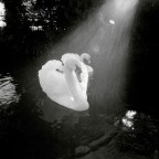 hasselblad super wide hasselblad super wide