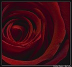 Red Velvet Red Velvet