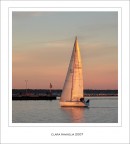 Ritorno... in porto Ritorno... in porto