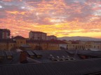 Alba Alba
