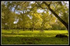 Scampoli d'autunno Scampoli d'autunno