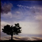 hasselblad 500cm hasselblad 500cm