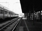 ...in realt  solo verso Pisa...